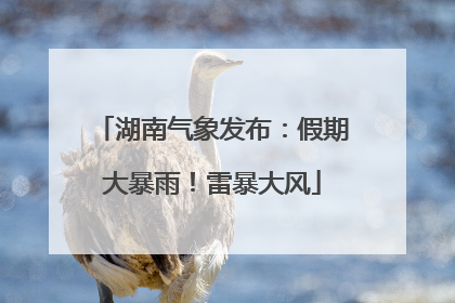 湖南气象发布：假期大暴雨！雷暴大风