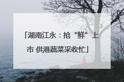 湖南江永：抢“鲜”上市 供港蔬菜采收忙