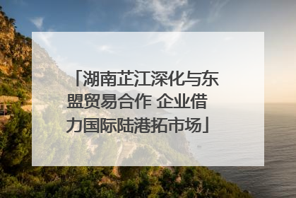 湖南芷江深化与东盟贸易合作 企业借力国际陆港拓市场
