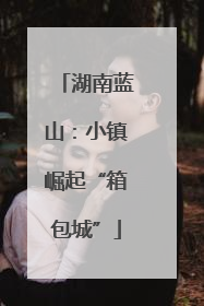 湖南蓝山：小镇崛起“箱包城”