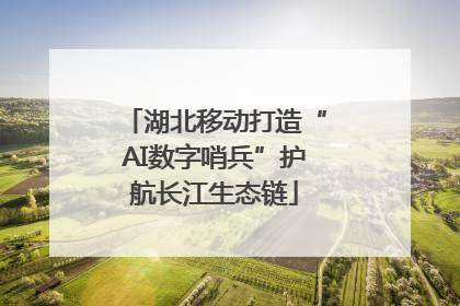 湖北移动打造“AI数字哨兵”护航长江生态链