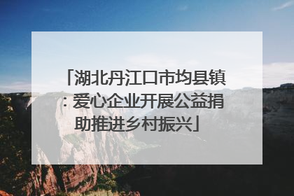 湖北丹江口市均县镇：爱心企业开展公益捐助推进乡村振兴