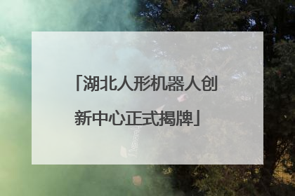 湖北人形机器人创新中心正式揭牌