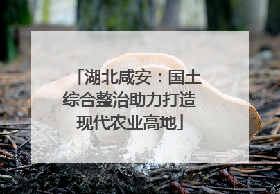 湖北咸安：国土综合整治助力打造现代农业高地