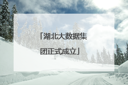 湖北大数据集团正式成立