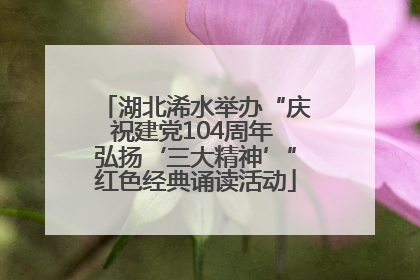 湖北浠水举办“庆祝建党104周年 弘扬‘三大精神’”红色经典诵读活动