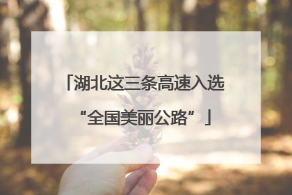 湖北这三条高速入选“全国美丽公路”