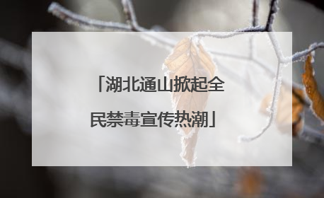 湖北通山掀起全民禁毒宣传热潮
