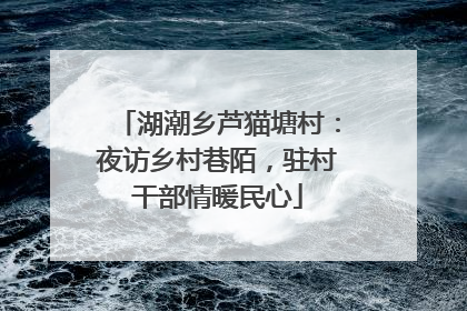 湖潮乡芦猫塘村：夜访乡村巷陌，驻村干部情暖民心