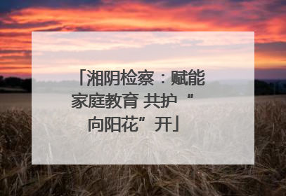 湘阴检察：赋能家庭教育 共护“向阳花”开