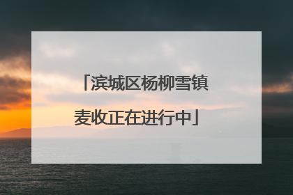 滨城区杨柳雪镇麦收正在进行中
