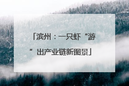 滨州：一只虾“游”出产业链新图景