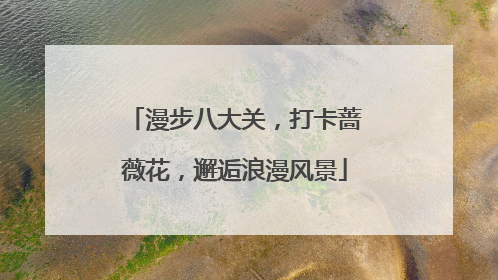 漫步八大关，打卡蔷薇花，邂逅浪漫风景