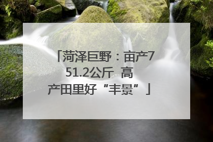 菏泽巨野：亩产751.2公斤  高产田里好“丰景”