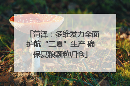 菏泽：多维发力全面护航“三夏”生产 确保夏粮颗粒归仓