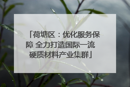 荷塘区：优化服务保障 全力打造国际一流硬质材料产业集群
