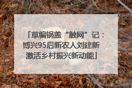 草编锅盖“触网”记：博兴95后新农人刘建新激活乡村振兴新动能