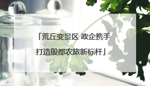 荒丘变景区 政企携手打造殷都农旅新标杆