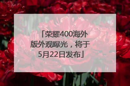 荣耀400海外版外观曝光，将于5月22日发布