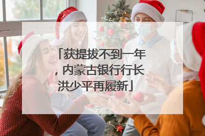 获提拔不到一年，内蒙古银行行长洪少平再履新