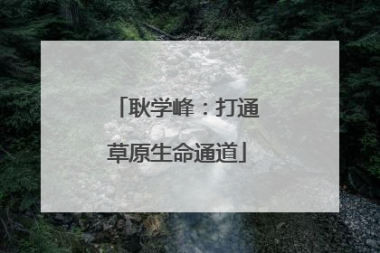 耿学峰：打通草原生命通道