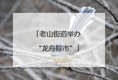 老山街道举办“龙舟粽市”