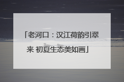 老河口：汉江荷韵引翠来 初夏生态美如画