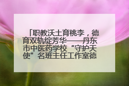 职教沃土育桃李，德育双轨绽芳华——丹东市中医药学校“守护天使”名班主任工作室德育实践之路