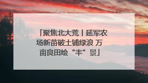 聚焦北大荒丨延军农场新苗破土铺绿浪 万亩良田绘“丰”景