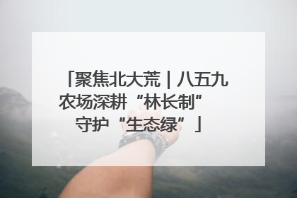 聚焦北大荒｜八五九农场深耕“林长制” 守护“生态绿”
