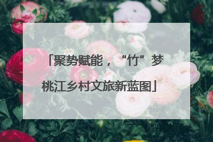 聚势赋能，“竹”梦桃江乡村文旅新蓝图