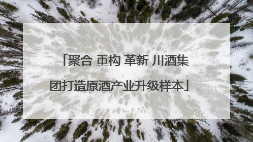 聚合 重构 革新 川酒集团打造原酒产业升级样本