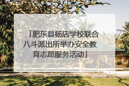 肥东县杨店学校联合八斗派出所举办安全教育志愿服务活动