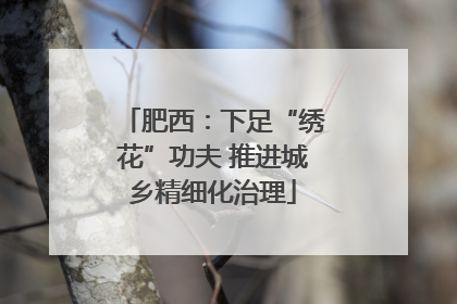 肥西：下足“绣花”功夫 推进城乡精细化治理