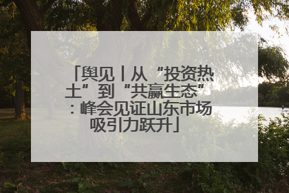 舆见丨从“投资热土”到“共赢生态”：峰会见证山东市场吸引力跃升