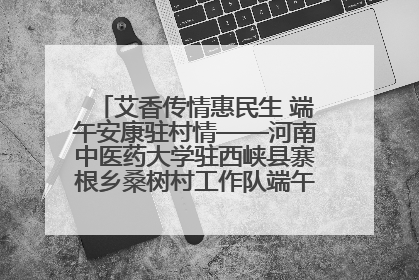 艾香传情惠民生 端午安康驻村情——河南中医药大学驻西峡县寨根乡桑树村工作队端午中医惠民记