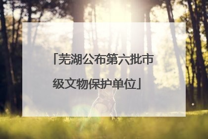芜湖公布第六批市级文物保护单位