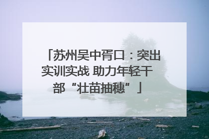 苏州吴中胥口：突出实训实战 助力年轻干部“壮苗抽穗”
