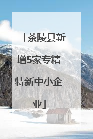 茶陵县新增5家专精特新中小企业