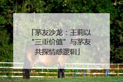 茅友沙龙：王莉以“三重价值”与茅友共探情感逻辑