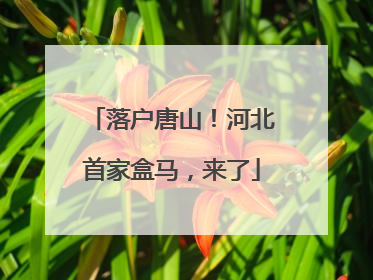 落户唐山！河北首家盒马，来了