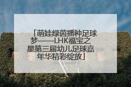 萌娃绿茵播种足球梦——LHK福宝之星第三届幼儿足球嘉年华精彩绽放
