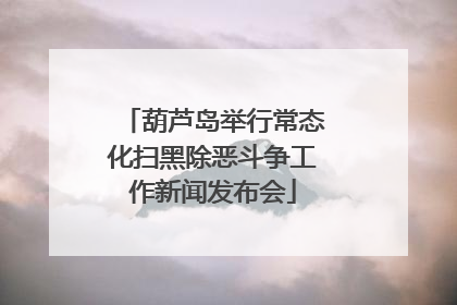 葫芦岛举行常态化扫黑除恶斗争工作新闻发布会