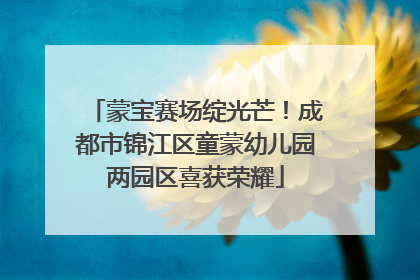 蒙宝赛场绽光芒！成都市锦江区童蒙幼儿园两园区喜获荣耀