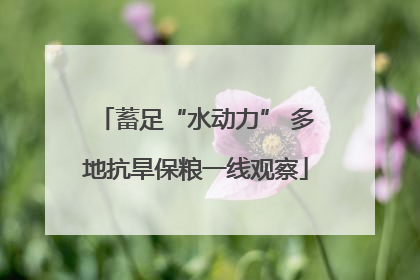 蓄足“水动力” 多地抗旱保粮一线观察