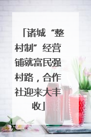 诸城“整村制”经营铺就富民强村路，合作社迎来大丰收