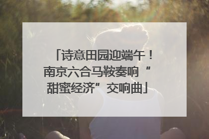诗意田园迎端午！南京六合马鞍奏响“甜蜜经济”交响曲