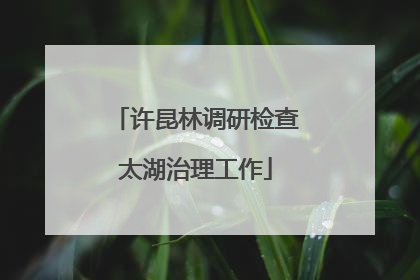 许昆林调研检查太湖治理工作