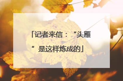 记者来信：“头雁”是这样炼成的