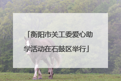 衡阳市关工委爱心助学活动在石鼓区举行